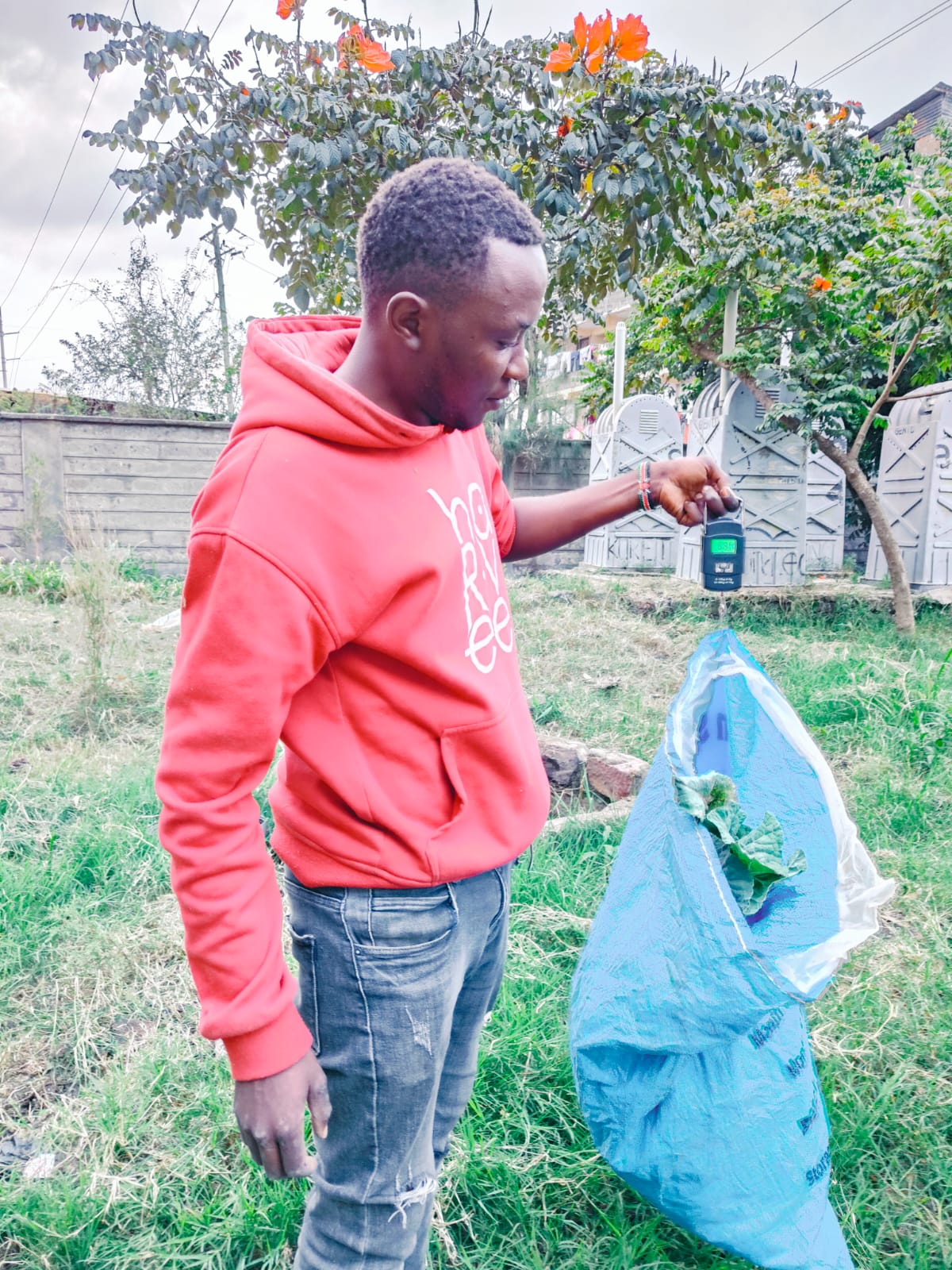 A man using a hand held machine to weigh crops