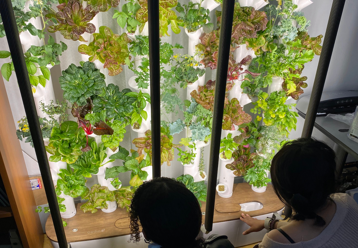 Two kids looking at a hydropnics growing tower